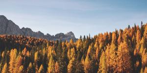herfst gezellig
