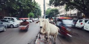 IA voiture autonome Inde