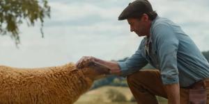 The Sheep Detectives