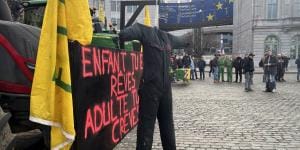 Anne-Catherine Dalcq