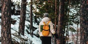 wandeling ardennen in de sneeuw