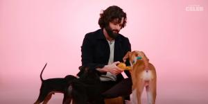 Penn Badgley puppy's