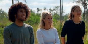 poll de mol