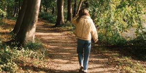 activiteiten herfst
