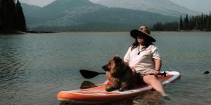 vakantie hond