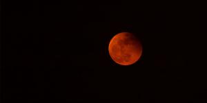 bloedmaan 7 september