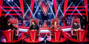 the voice van vlaanderen