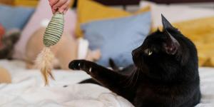 speelgoed binnenkat