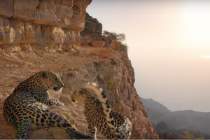 Laurence boccolini age de sa fille