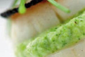 Gebakken jakobsschelp met broccolimousse en zwarte truffel