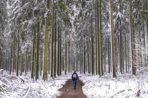 promenades hivernales