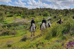 alentejo