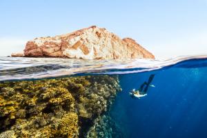 Plongée au large de Sindalah, à Neom - Getty Images