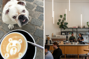 café de spécialité Bruxelles