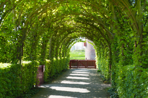 Mise au vert au Muiderslot, dans l'Amstelland - Canva