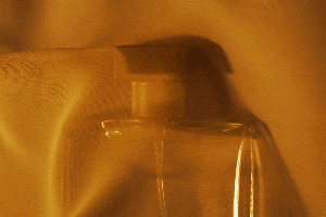 Nos parfums belges préférés - Canva