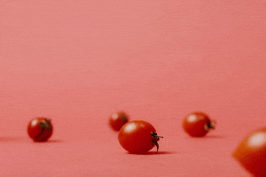 Notre sélection de vêtements et objets de déco tomate - Canva