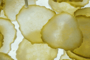 Pourquoi les pickles sont si populaires - Canva