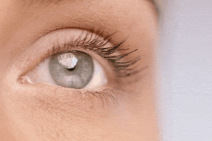 Notre sélection des meilleurs mascaras tubing de 2025 - Canva