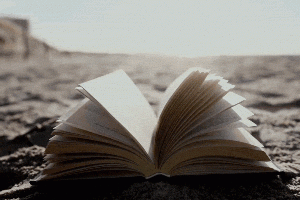 Notre sélection des meilleurs livres et romans de l'été 2025 - Canva