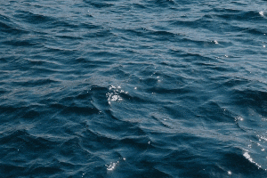 Et si la mer était la clé de votre bien-être? Canva