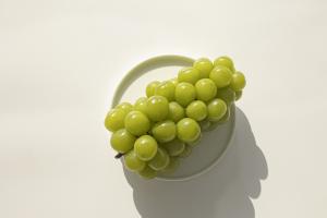 verjus tendance remplacer jus de citron