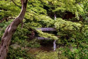 De mooiste tuinen van Japan