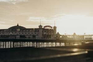 david shrigley brighton
