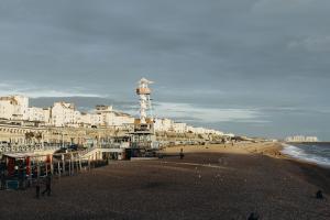 Het uitzicht op Brighton pier, de stad waar David Shrigley woont