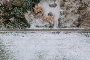 Agenda des vacances d'hiver 2025 en Belgique - Unsplash (Eduard Delputte)