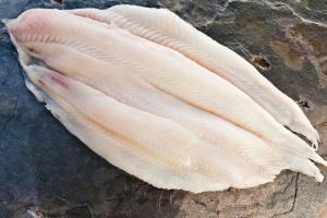 Gestoomde grijze garnalen en tong met gestoofd witloof