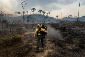 Een brandweerman aan het werk na een brand in het Amazonewoud in 2019.