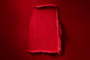 Louis Vuitton rouges à lèvres beauté