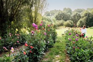Momenteel telt Riet ongeveer 240 dahliavariëteiten in haar tuin. Elk jaar komen er nieuwe bij, zowel bijzondere soorten als eigen zaailingen.