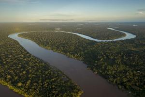 Vallée de Javari en Amazonie