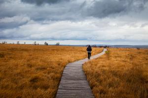 Wandelingen België