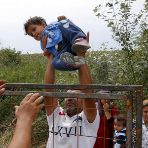 Syrische vluchtelingen tillen een kind over de prikkeldraad aan de grens met Hongarije. (foto Reuters)