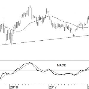 Exxon Mobil