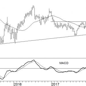 Exxon Mobil