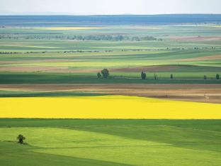 Landbouwgronden in West-Vlaanderen.