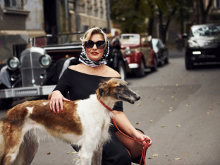 animal de compagnie luxe