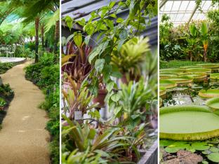 Serres et jardins botaniques en Belgique