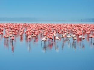 Lake Nakuru National park