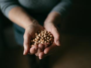 entrepreneurs food belgique