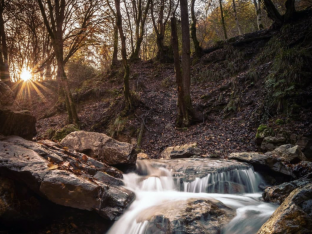 balades automne