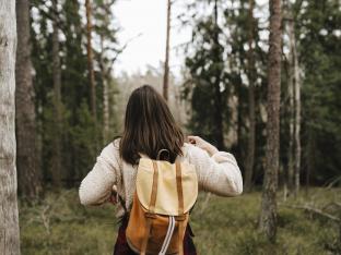 Rear view of woman exploring in forest during vacation