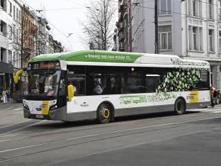 anvers bus