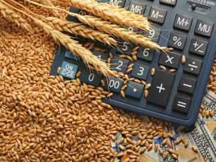 Beginnen met dividendbeleggen | De belangrijkste tips op een rij