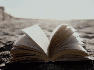 Notre sélection des meilleurs livres et romans de l'été 2025 - Canva