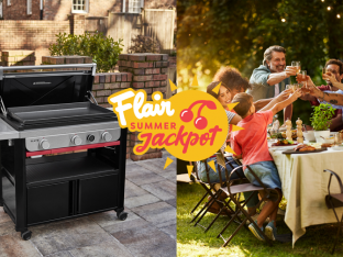 FLAIR SMMER WEBER